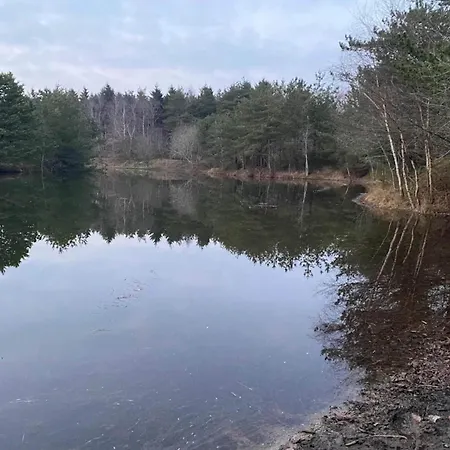 Vakantiehuis 8 Person In Oksbol-by Traum *