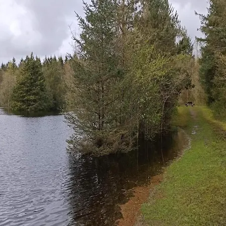 Vakantiehuis 8 Person In Oksbol-by Traum Oksbøl